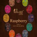 Balaji Rasberry Vol 8 Embroidery Work Dress